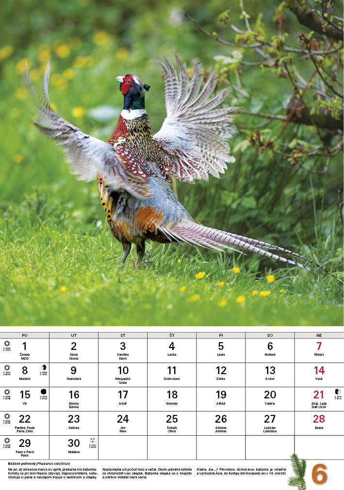 Polľovnícky kalendár